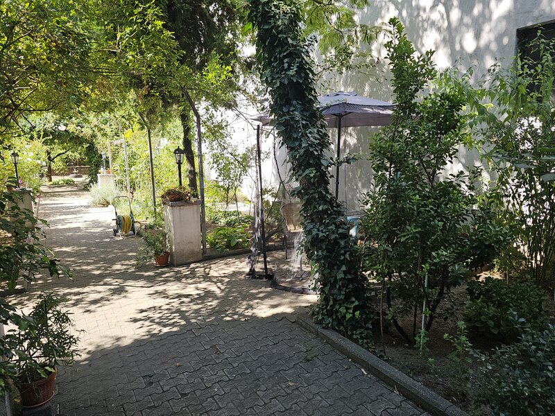 Cismigiu, Bucuresti.