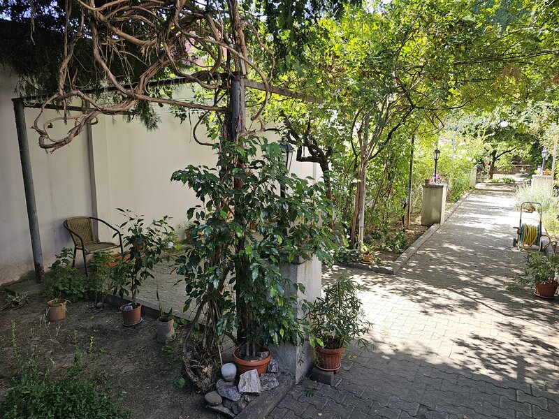 Cismigiu, Bucuresti.