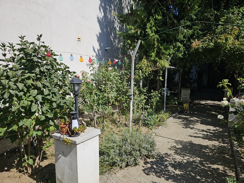 Cismigiu, Bucuresti.